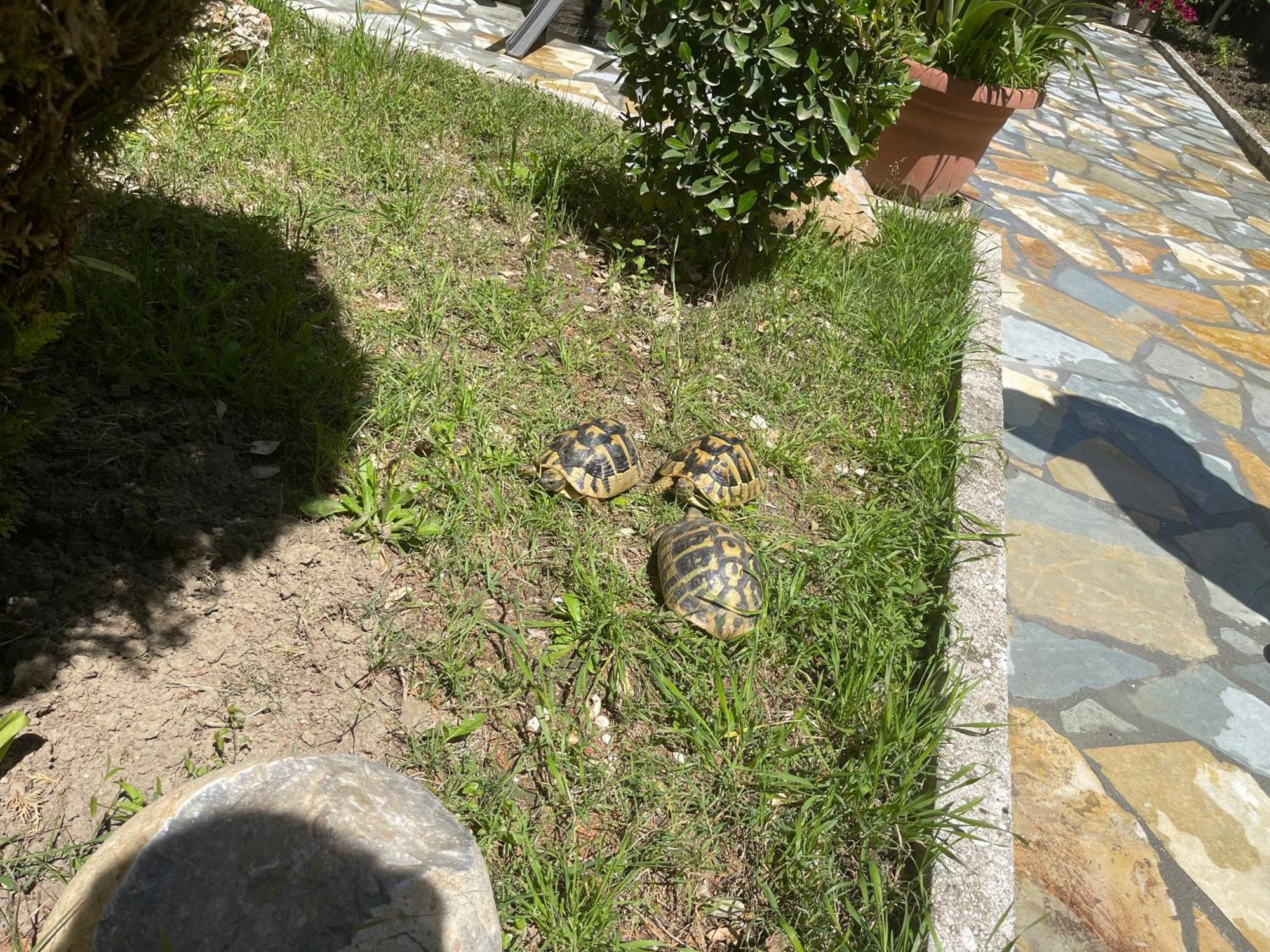 Artur'S Apartment Αργυρόκαστρο Εξωτερικό φωτογραφία